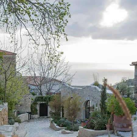 Zoe Hora Dhermi