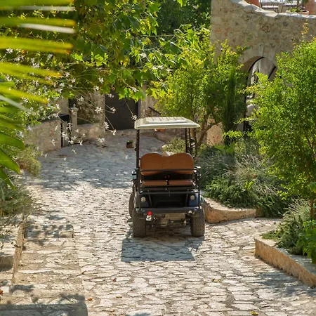 Zoe Hora * Dhermi