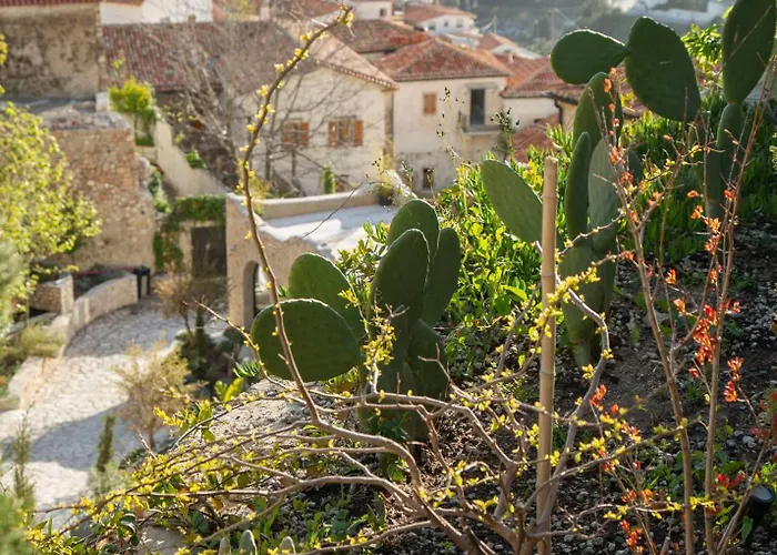 酒店 Zoe Hora Dhërmi